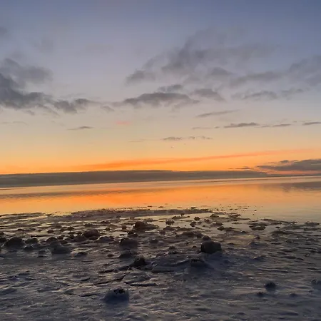 Kreativgard Hoge * Højer