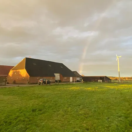 Kreativgard Hoge Bed and breakfast Højer